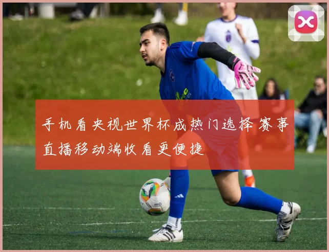 手机看央视世界杯成热门选择 赛事直播移动端收看更便捷