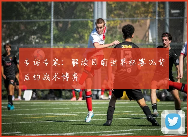 专访专家：解读目前世界杯赛况背后的战术博弈