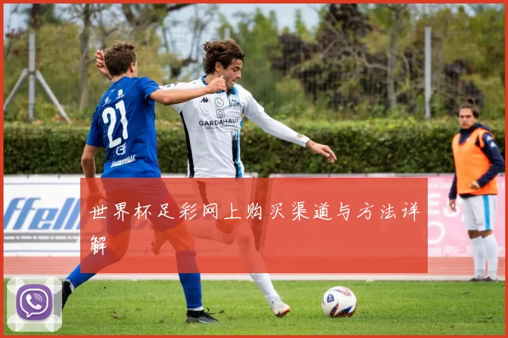 世界杯足彩网上购买渠道与方法详解