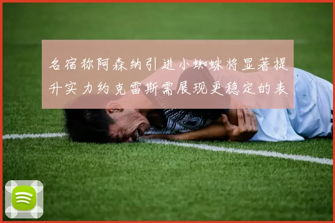 名宿称阿森纳引进小蜘蛛将显著提升实力约克雷斯需展现更稳定的表现