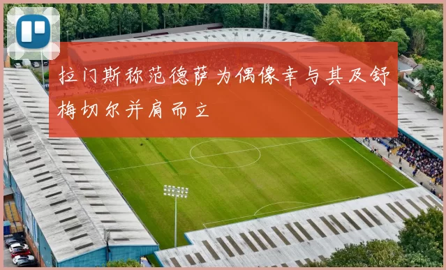 拉门斯称范德萨为偶像幸与其及舒梅切尔并肩而立