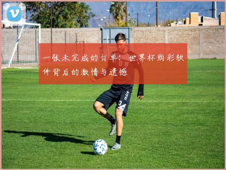一张未完成的订单：世界杯购彩软件背后的激情与遗憾