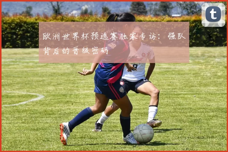 欧洲世界杯预选赛独家专访:强队背后的晋级密码