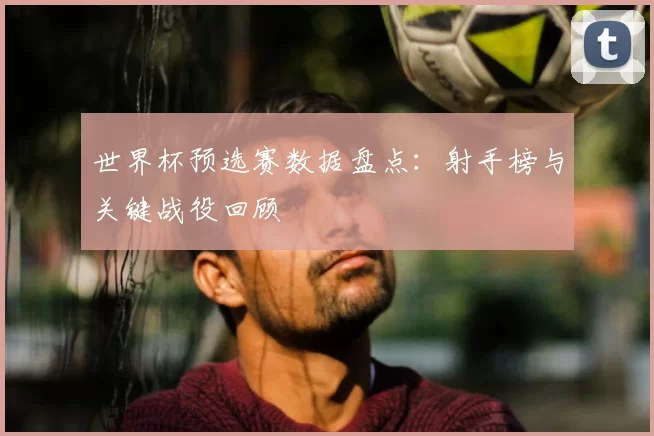 世界杯预选赛数据盘点：射手榜与关键战役回顾