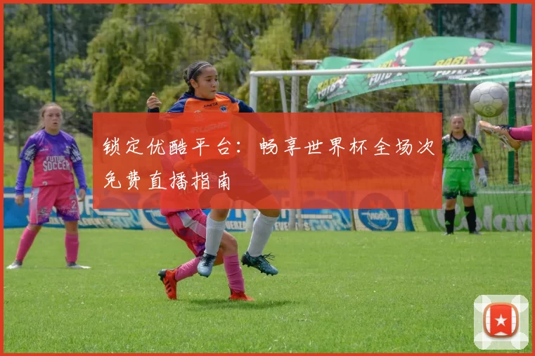 锁定优酷平台：畅享世界杯全场次免费直播指南