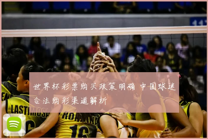 世界杯彩票购买政策明确 中国球迷合法购彩渠道解析