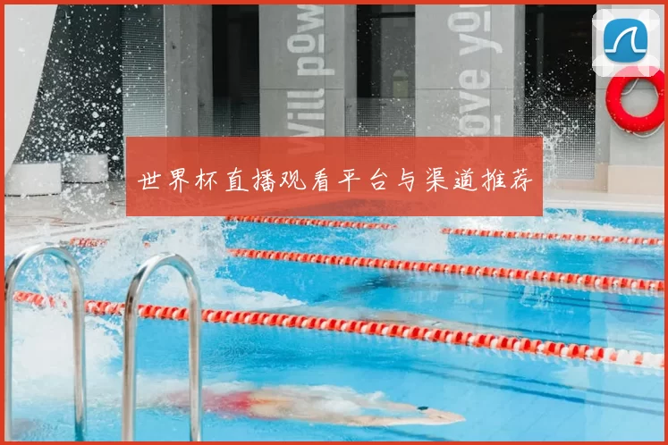 世界杯直播观看平台与渠道推荐