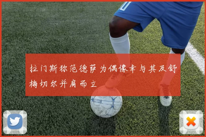 拉门斯称范德萨为偶像幸与其及舒梅切尔并肩而立
