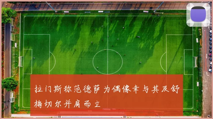 拉门斯称范德萨为偶像幸与其及舒梅切尔并肩而立